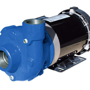 RCP Series End Suction Close Coupled Pumps